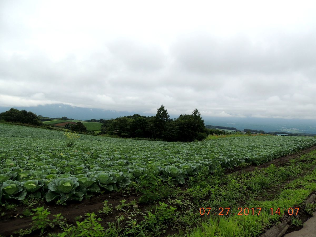 f0104277_21151669.jpg