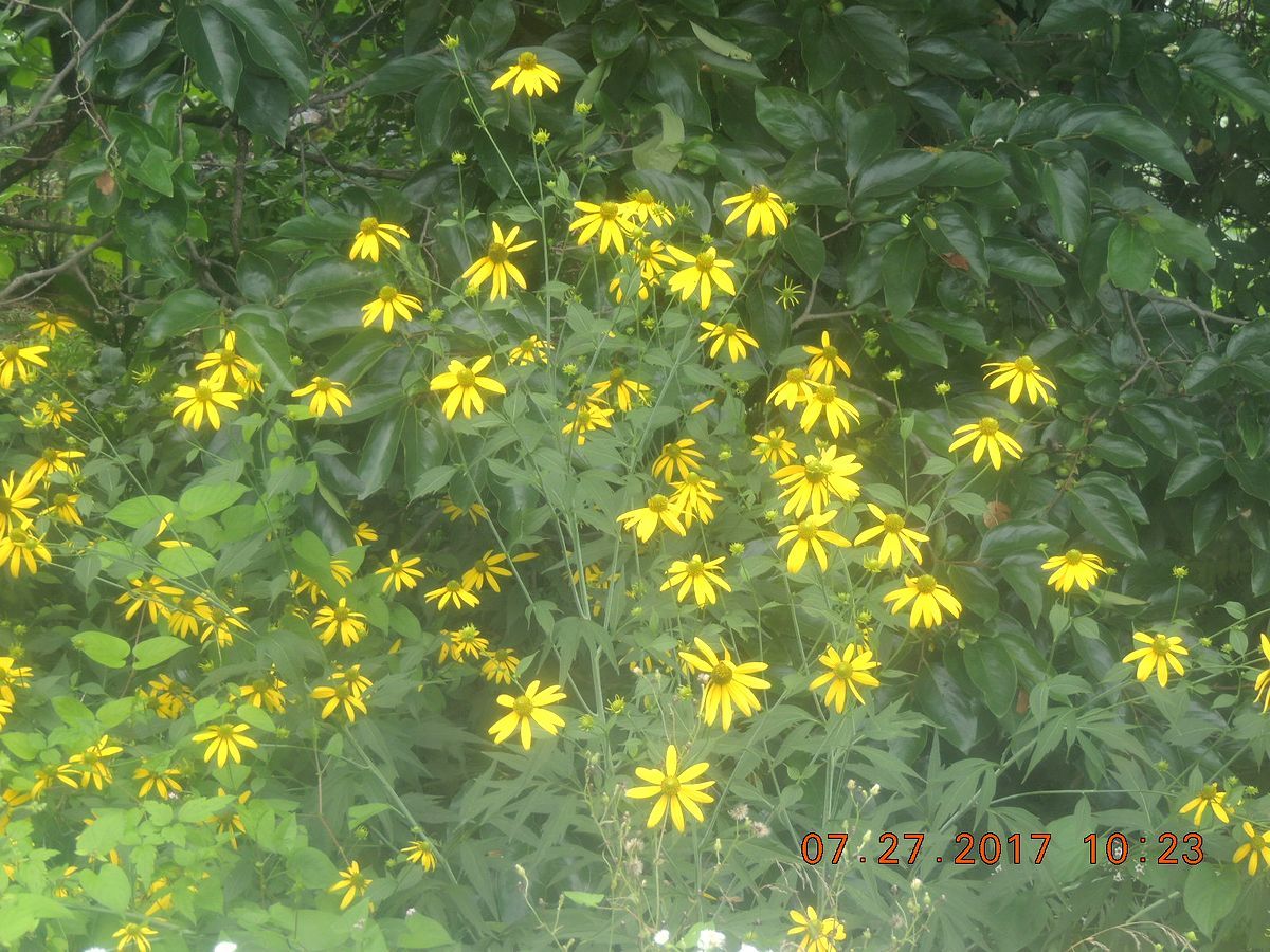 f0104277_21200542.jpg
