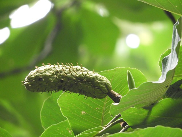f0378979_18075375.jpg