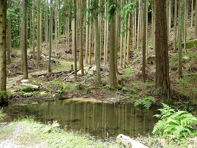 f0378979_18122590.jpg