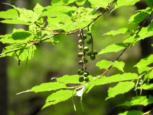 f0378979_18174212.jpg