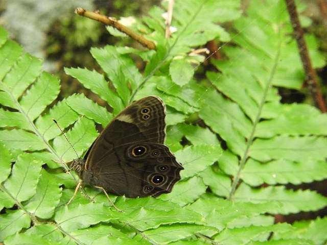 f0378979_18180375.jpg