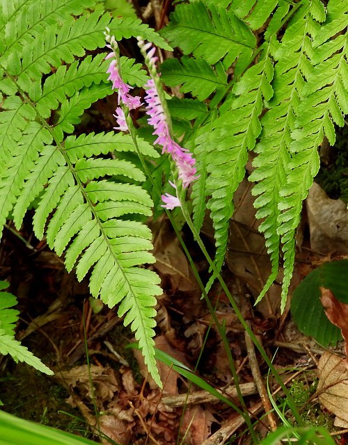 f0378979_18182055.jpg