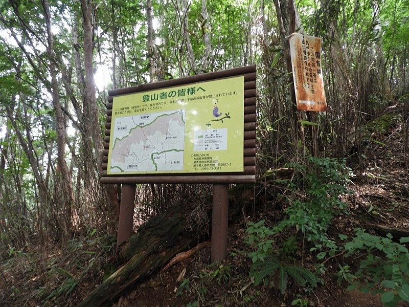 f0357487_21551156.jpg