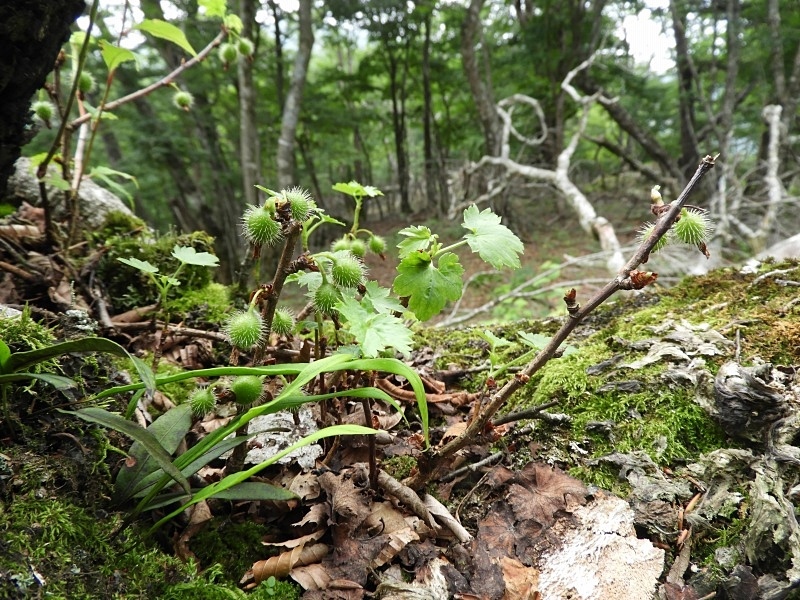 f0357487_23213204.jpg