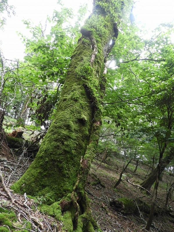 f0357487_23341327.jpg