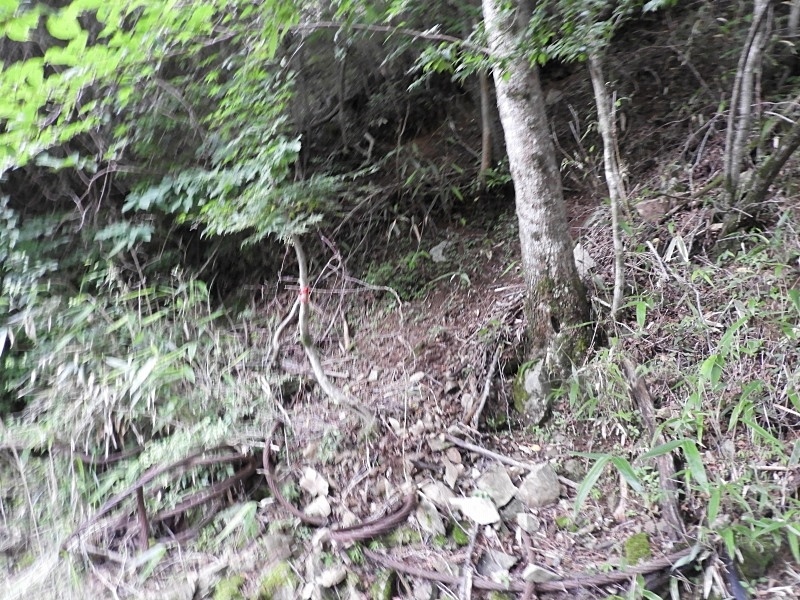 f0357487_23550075.jpg