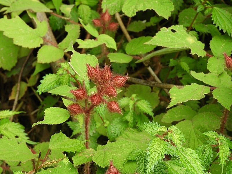 f0357487_23563909.jpg