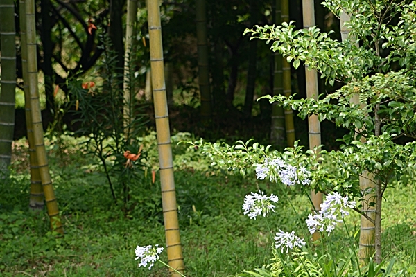 a0240403_14143811.jpg