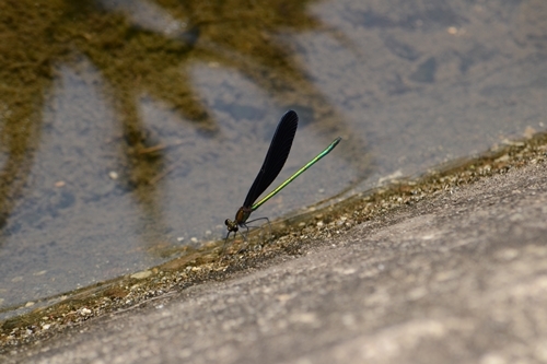 a0240403_14150178.jpg