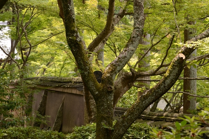 a0240403_14155219.jpg