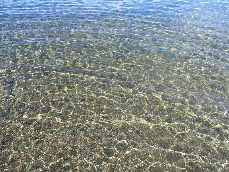 f0202703_01154.jpg