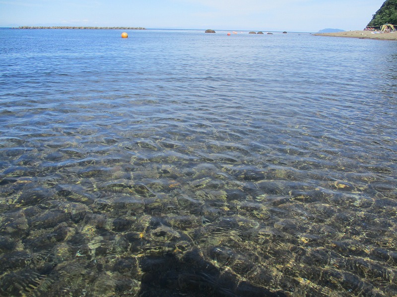 f0202703_012432.jpg