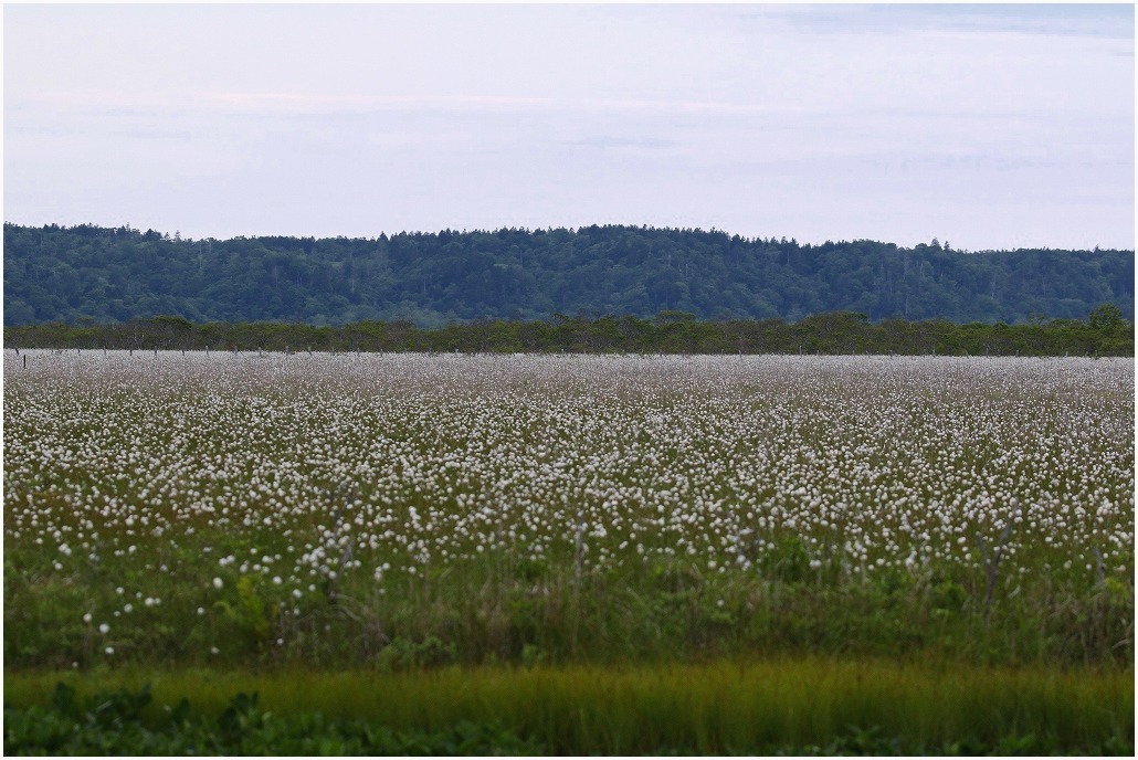 f0221514_07514707.jpg