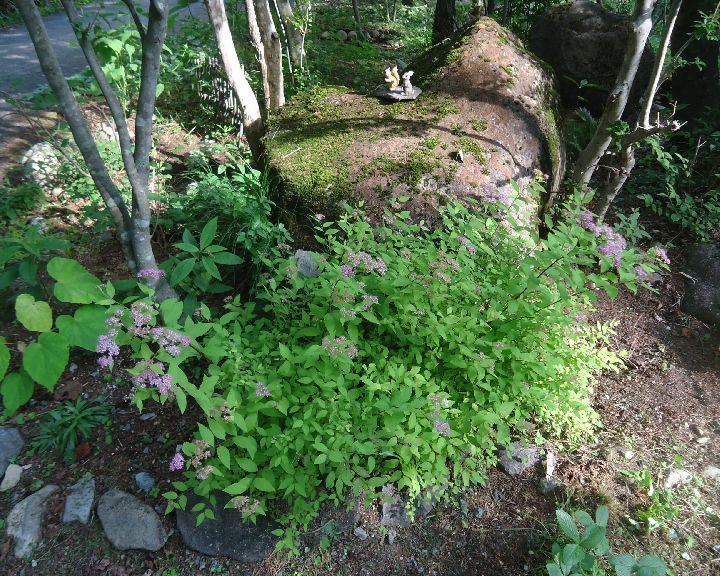 b0248920_01011483.jpg