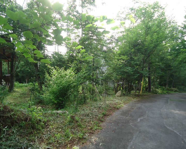 b0248920_01181597.jpg