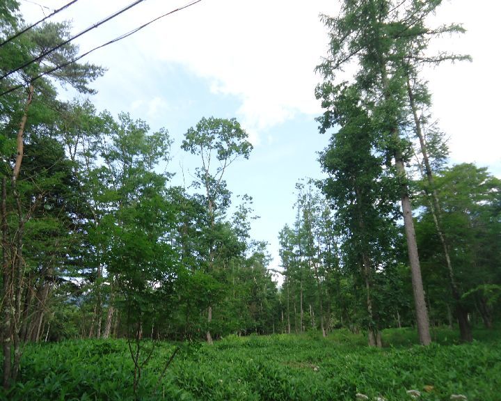 b0248920_23074659.jpg