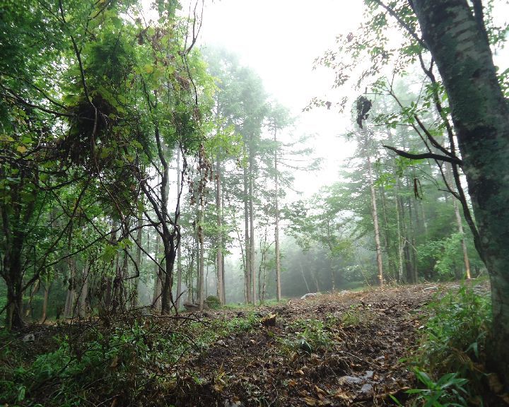 b0248920_23100835.jpg