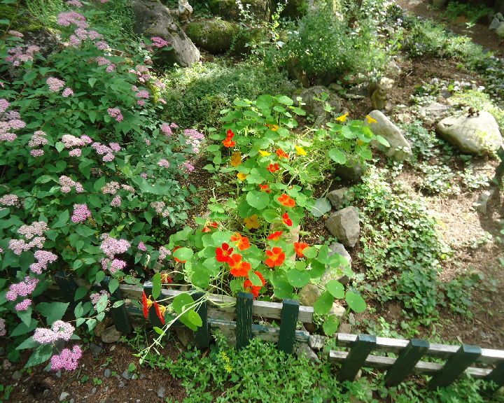 b0248920_23285739.jpg