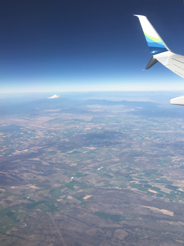 a0146529_08465926.jpg