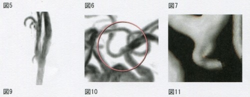 f0068334_11211044.jpg