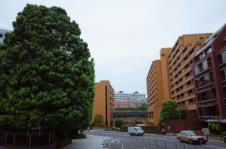 a0287336_14334994.jpg