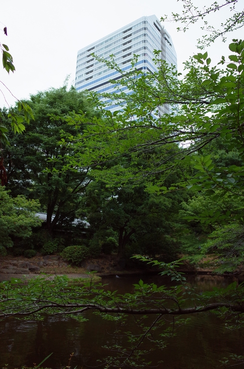 a0287336_14362441.jpg