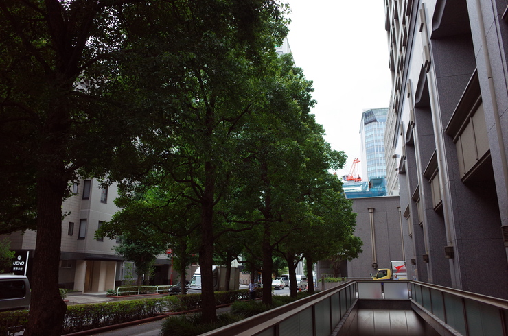 a0287336_15352021.jpg