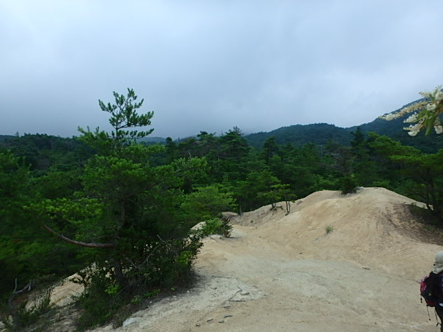 f0334143_1945177.jpg