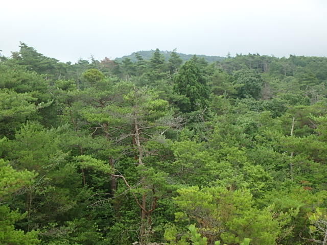 f0334143_194526100.jpg