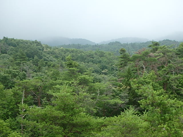 f0334143_19454491.jpg
