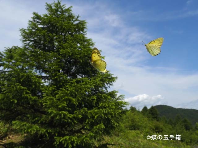 b0107948_19241110.jpg
