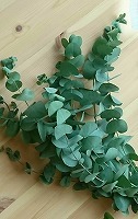 f0210750_20160651.jpg