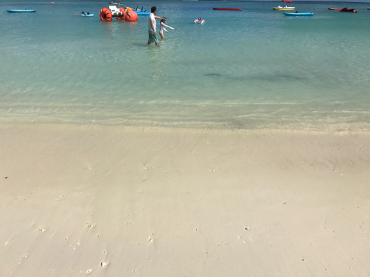 f0176860_13560903.jpg