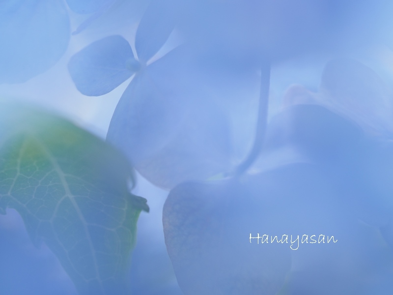 b0186563_14185077.jpg
