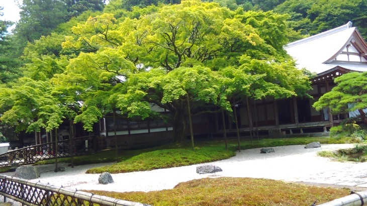 c0333067_15255385.jpg