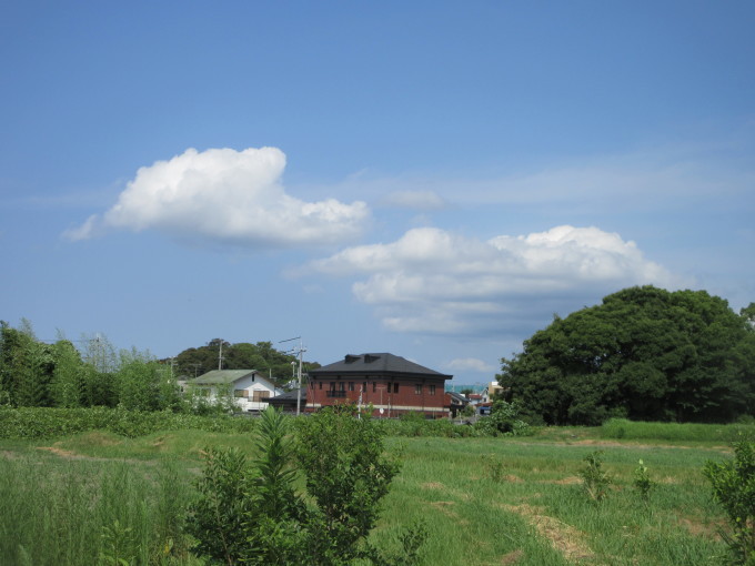 f0053885_20152426.jpg