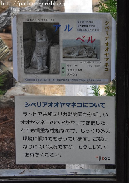 a0052986_2212491.jpg