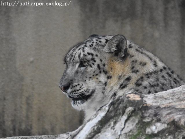 a0052986_2372583.jpg