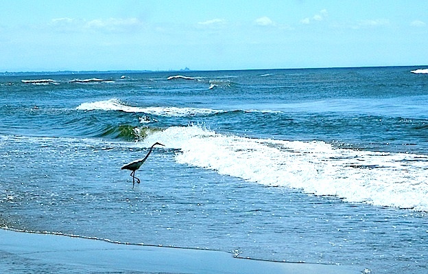 d0329286_07432401.jpg