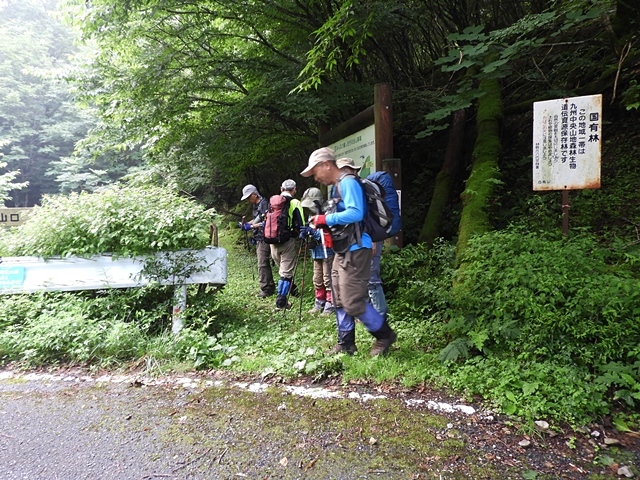 f0357487_13405466.jpg