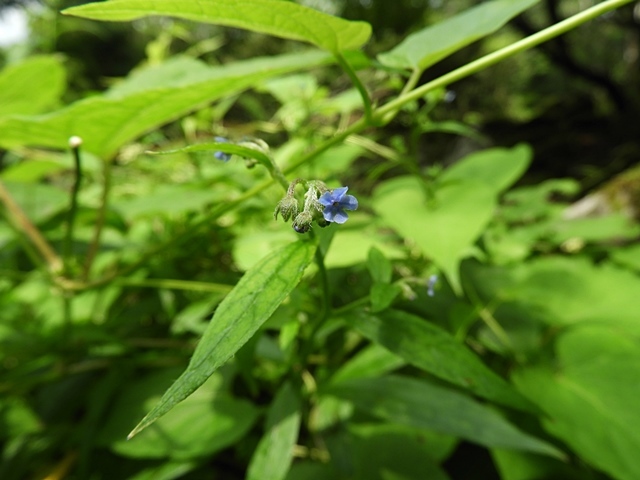 f0357487_17132364.jpg