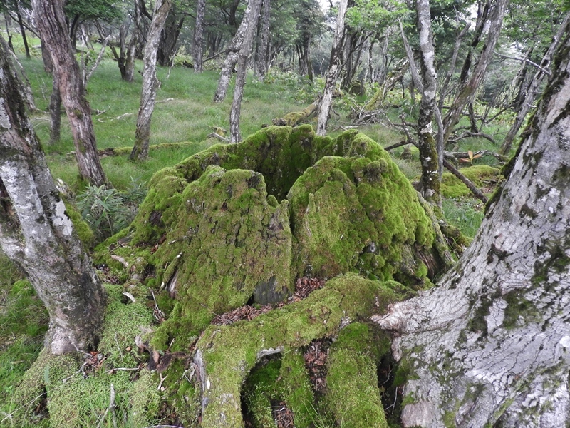 f0357487_17141271.jpg