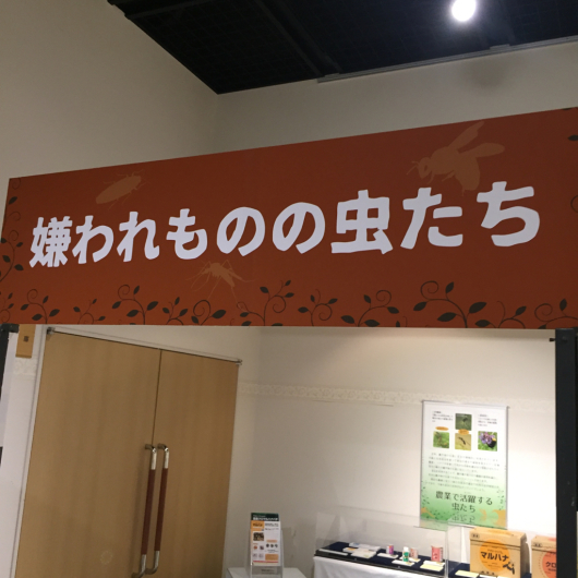 f0217090_10430966.jpg