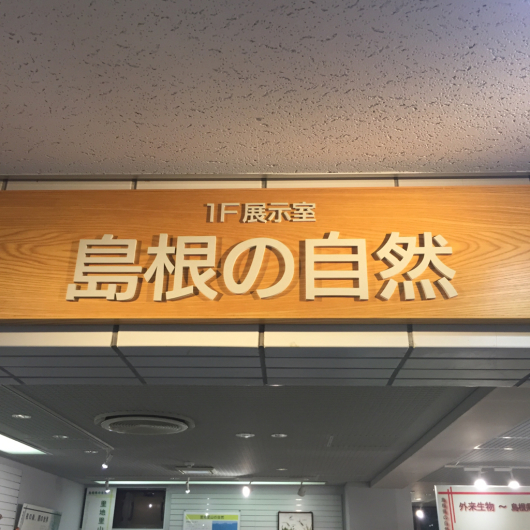 f0217090_10431214.jpg