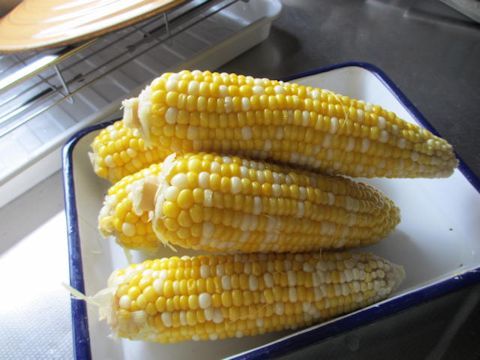 a0308493_12570751.jpg