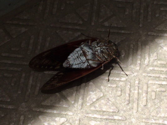 b0160300_13104097.jpg