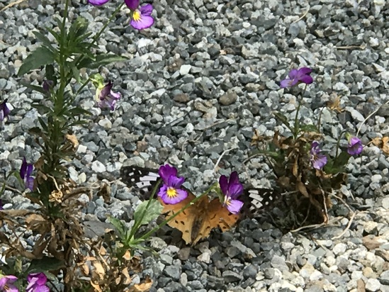 c0212604_12183826.jpg