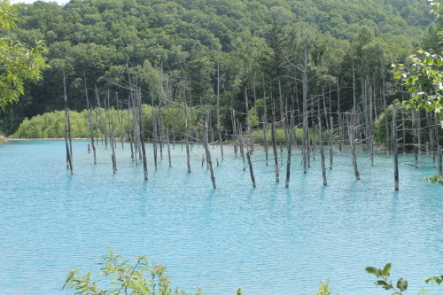 b0363906_23372444.jpg