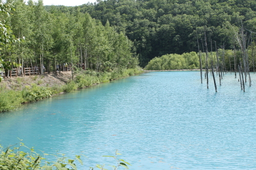 b0363906_23374254.jpg